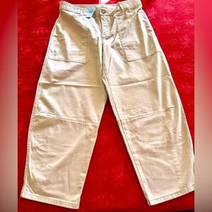 Ann Taylor LOFT Petite Utility Barrel Pants